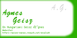 agnes geisz business card